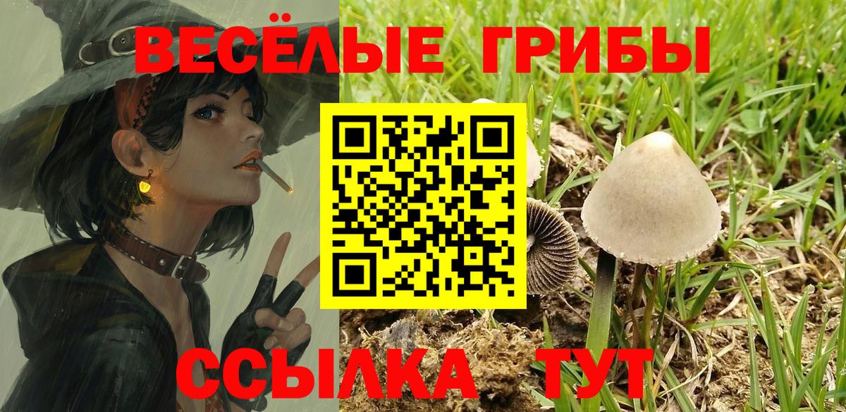 как найти наркотики  Вход с VPN  Свободный  Псилоцибиновые грибы GOLDEN TEACHER 