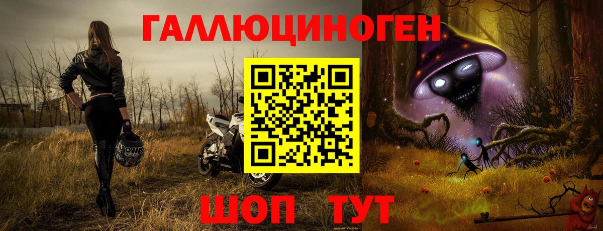 Псилоцибиновые грибы мицелий Свободный